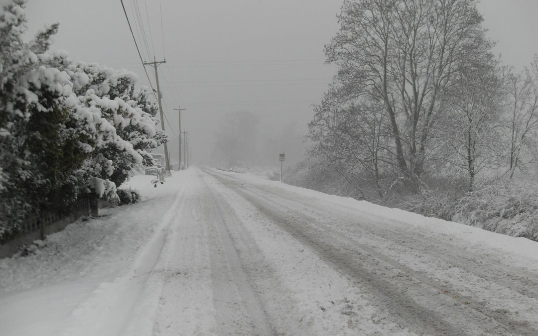 cómo conducir con nieve