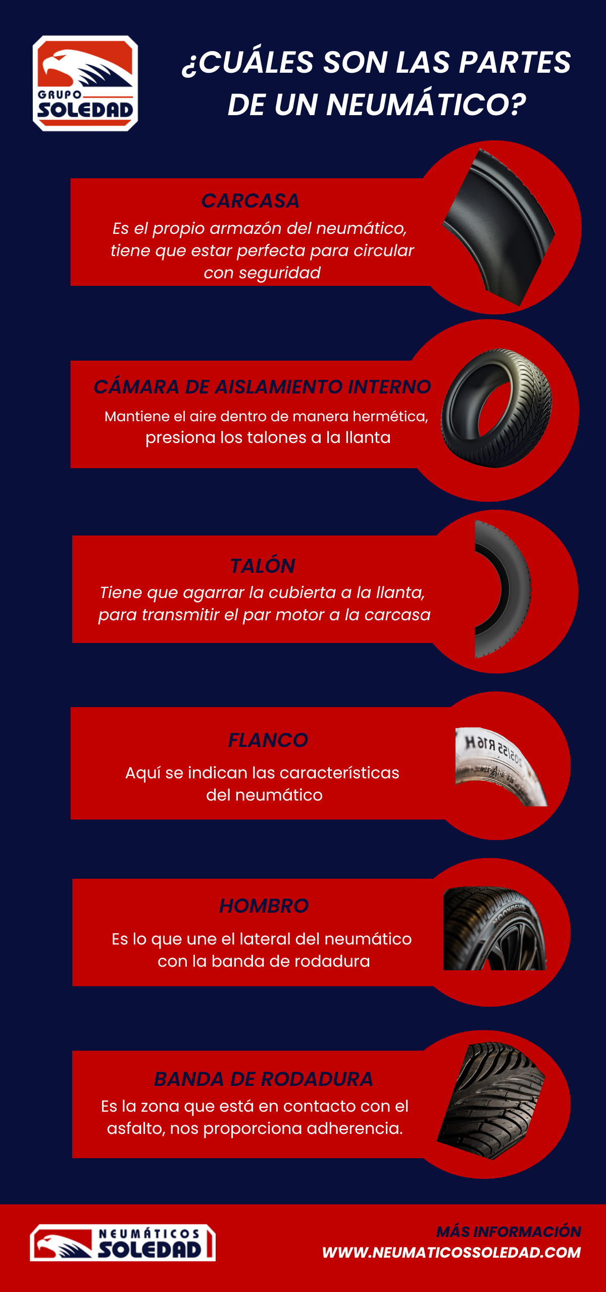 Infografía partes de un neumático